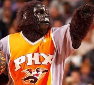 Only the Phoenix Suns could think of a mascot by dressing a guy in a gorilla suit and a Phoenix Suns jersey. However, our culture has been well accustomed to not taking people in gorilla suits seriously though gorillas are animals nobody would want to mess with.