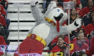 I see no problem with a dog mascot. Yet, a dog with his tongue out all the time and there is no excuse that he's the mascot for the Calgary Flames. Well, other than being a possible creation of a 6-year old boy who was told to think outside the box. But you'd think a team like the Calgary Flames would have a better mascot perhaps one relating to fire. Torch from the Fantastic Four would've been a better choice or a fire breathing dragon. 