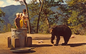 I bet any money that the bear is either going for whatever's in the trash can or to the kids watching it. Then again, there's the person taking the picture.