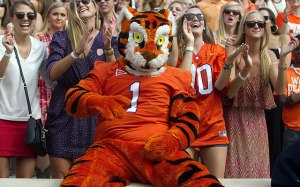 Seems like Clemson doesn't administer drug tests for their mascot candidates. I mean the Tiger certainly has eyes of someone who's totally high on brown acid or crystal meth. 