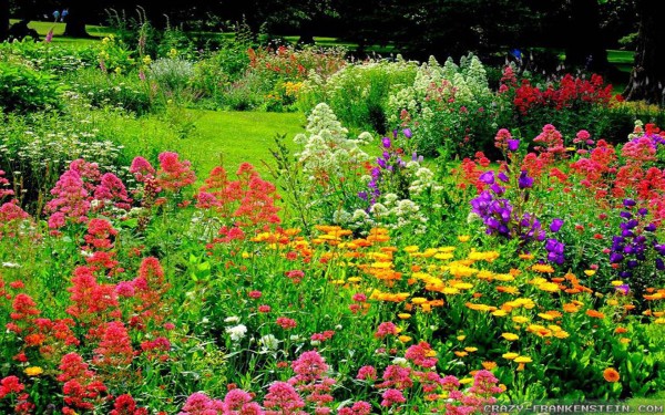 colorful-beautiful-flower-garden-wallpapers-1920x1200