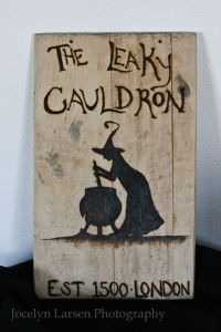 This is a Leaky Cauldron sign. Nevertheless, I think it almost seems like you'd see in the movie.