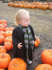Okay, Draco was a brat in the books and the movies. However, this costume is quite cute if you ask me.