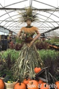Since she has a dress made from corn stalks as well as decked in full fall regalia. Kind of wish she was in an outdoor setting though.