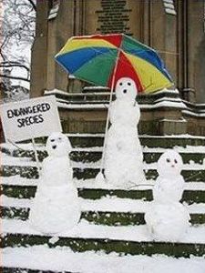 You'd think these snowmen would be protesting climate change. Because they'd certainly be affected by it.