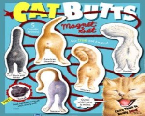 From Slap Dash Mom: "For $9.69 you can give someone butts. Sweet! So maybe, just maybe, if you know someone with a really messed up and twisted sense of humor (like myself), this could be considered a good gift. I think it’s one I’d like to give to someone that really hates cats. Double Whammy!"