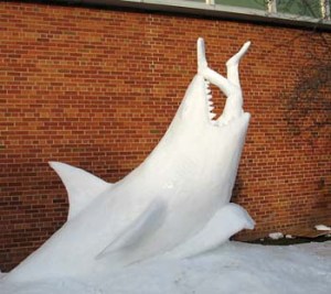 Yeah, chances are you'll never see that swimmer again. Wonder why I see so many snow sharks.